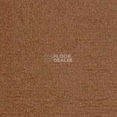 Ковролин Radici Oceania Camoscio 2420 фото 1 | FLOORDEALER
